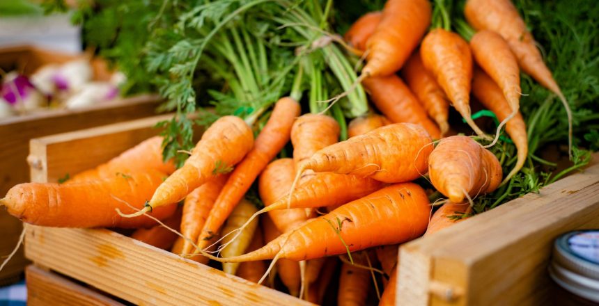 david-holifield-uidpH617Fb8-unsplash